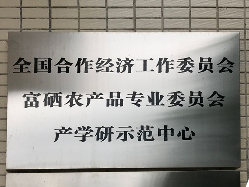 示范中心